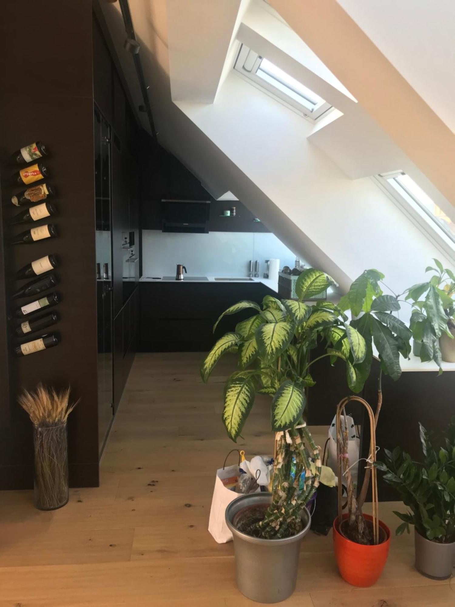 Grosszuegiges Dachterrassen-Appartment Mit Klimaanlage Und Wunderbarem Ausblick Vienna Esterno foto