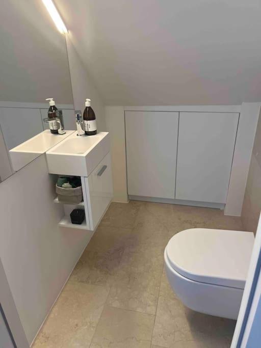 Grosszuegiges Dachterrassen-Appartment Mit Klimaanlage Und Wunderbarem Ausblick Vienna Esterno foto