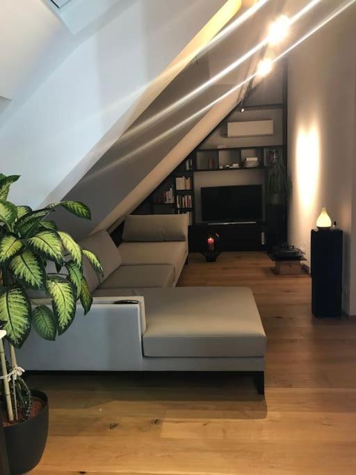 Grosszuegiges Dachterrassen-Appartment Mit Klimaanlage Und Wunderbarem Ausblick Vienna Esterno foto